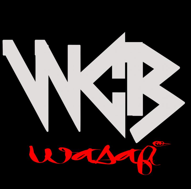 WCB Wasafi's picture